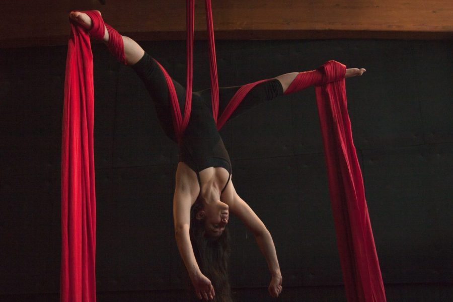 Valentina Franchino - Danza aerea tessuti