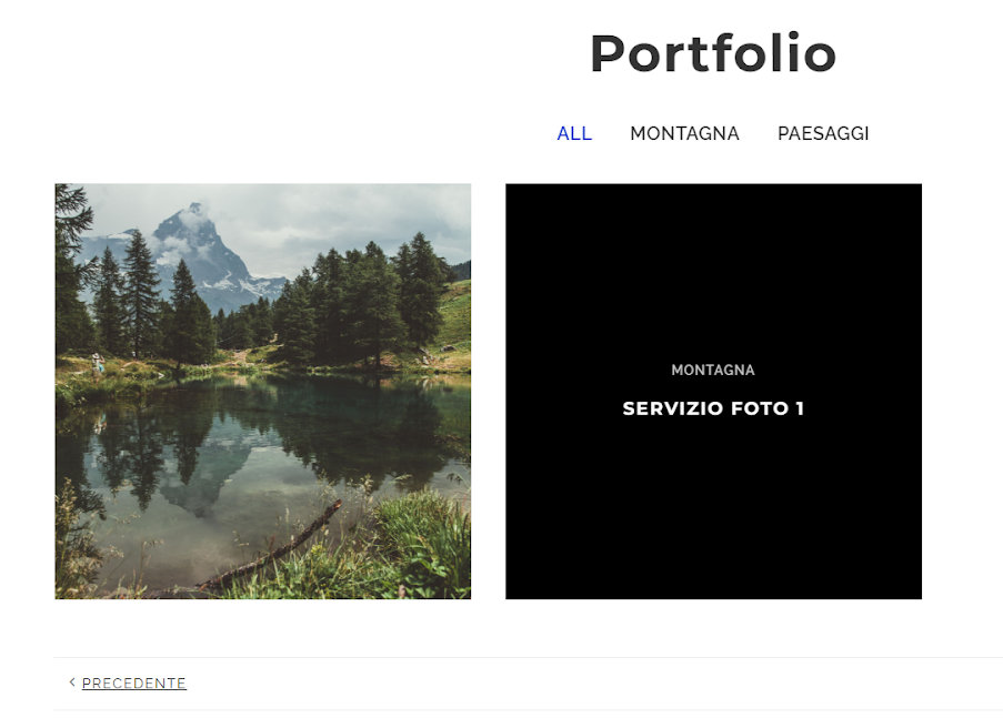 portfolio